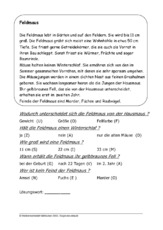 Feldmaus.pdf